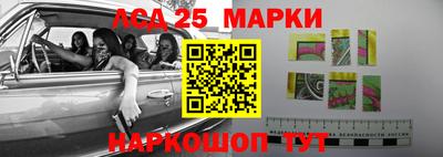 индика Можайск