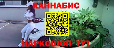 прущие грибы Можга