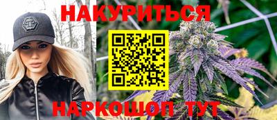 прущие грибы Можга