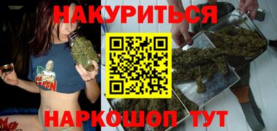 прущие грибы Можга