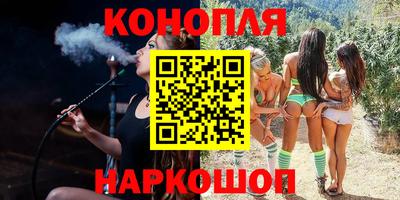 прущие грибы Можга