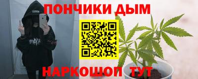 прущие грибы Можга